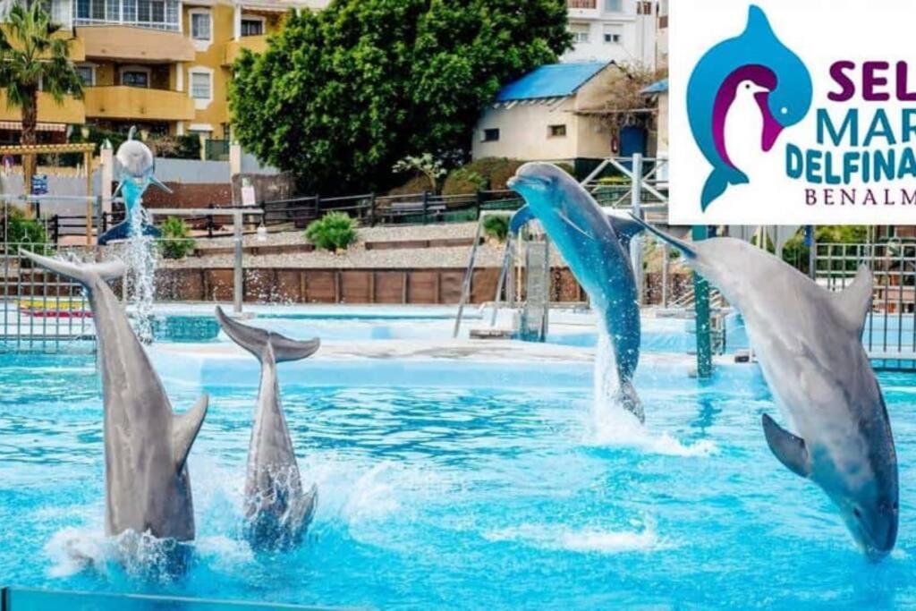 بينالماذينا Modern Studio Near Beach. Sea, Pool And Wi-Fi المظهر الخارجي الصورة